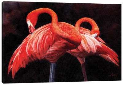 Flamingos Canvas Art Print - Photorealism Art