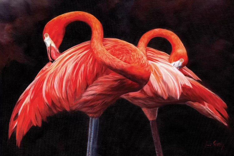Flamingos by David Stribbling wall art
