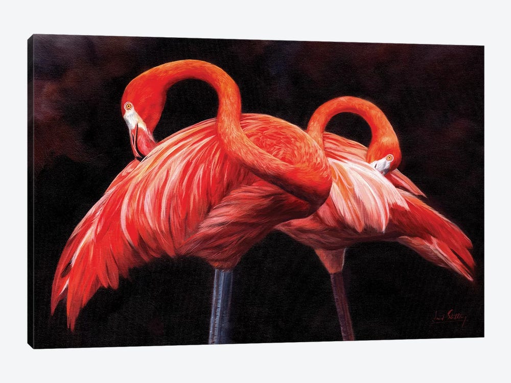 Flamingos by David Stribbling 1-piece Canvas Art