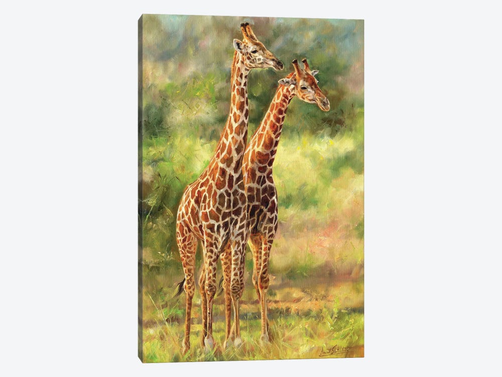 Giraffes by David Stribbling 1-piece Canvas Art