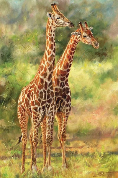 David Stribbling: Giraffes by David Stribbling