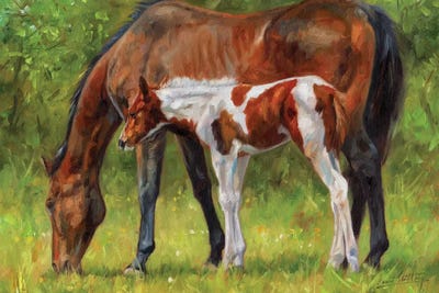 Horse And Foal by David Stribbling art print