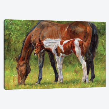 Horse And Foal Canvas Print #STG149} by David Stribbling Canvas Art