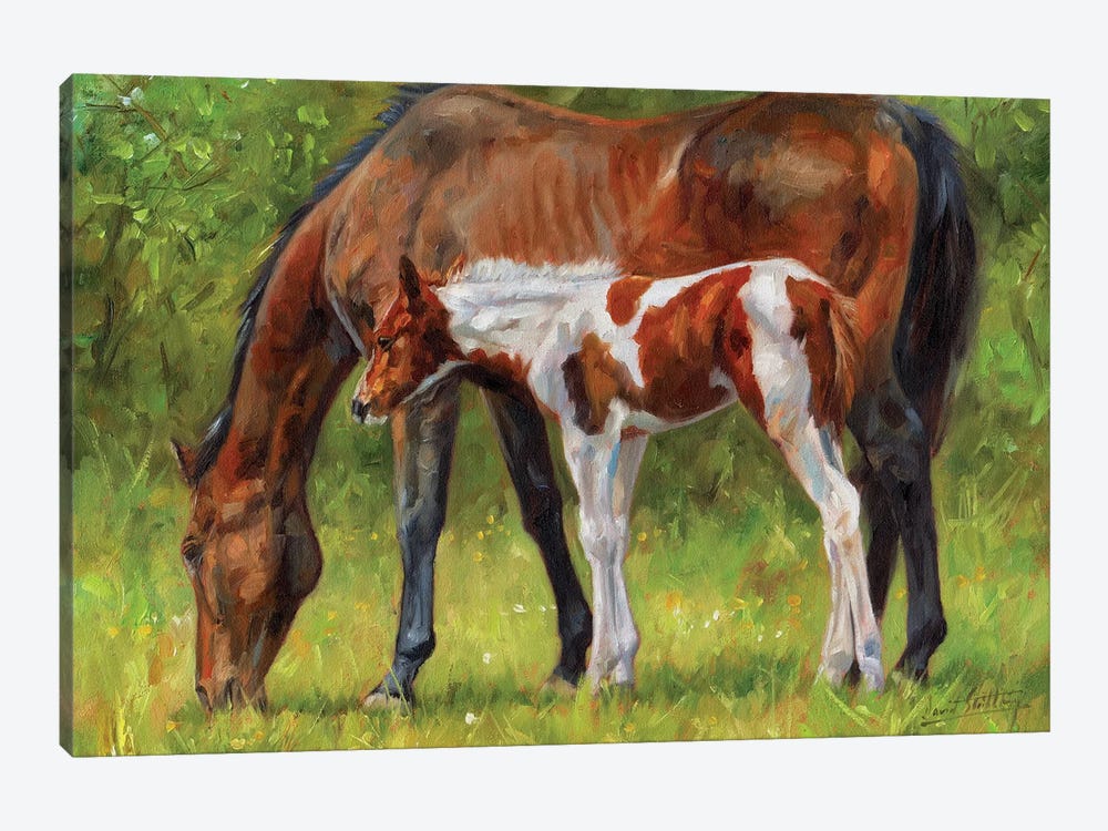 Horse And Foal by David Stribbling 1-piece Canvas Art Print