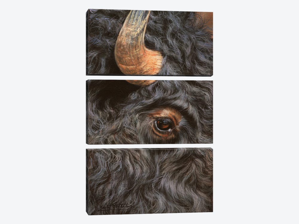 Bison Close-Up by David Stribbling 3-piece Canvas Art