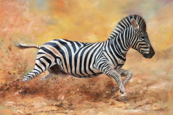 Zebras: Kicking Up Dust I by David Stribbling