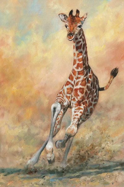 Giraffes: Kicking Up Dust II by David Stribbling