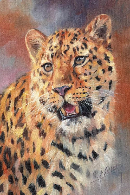 Leopard Portrait