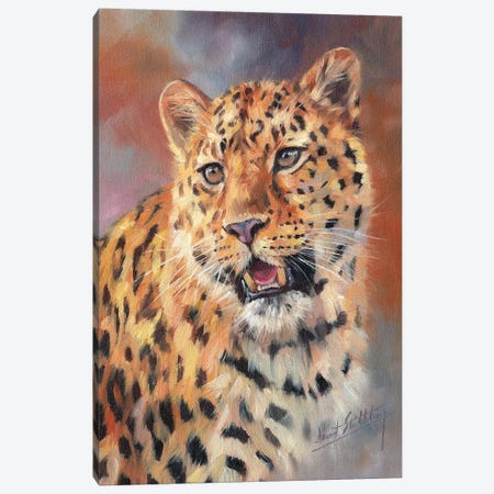 Leopard Portrait Canvas Print #STG152} by David Stribbling Canvas Art Print