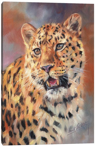 Leopard Portrait Canvas Art Print - David Stribbling