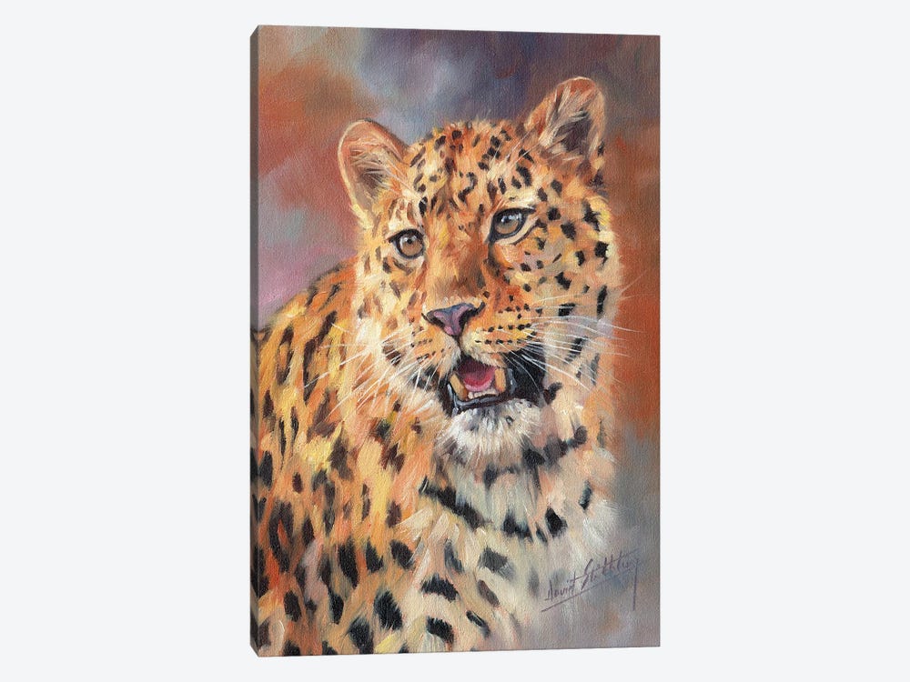 Leopard Portrait by David Stribbling 1-piece Canvas Print