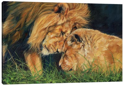 Lion Love Canvas Art Print - Photorealism Art