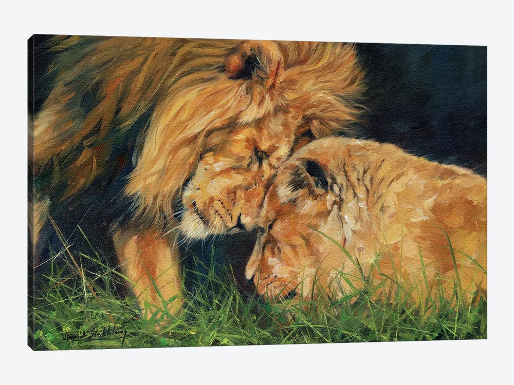 Lion Love by David Stribbling 1-piece Canvas Artwork