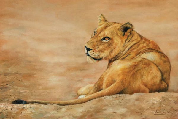 Lions: Lioness by David Stribbling