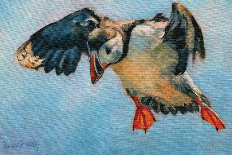 Puffin by David Stribbling wall art