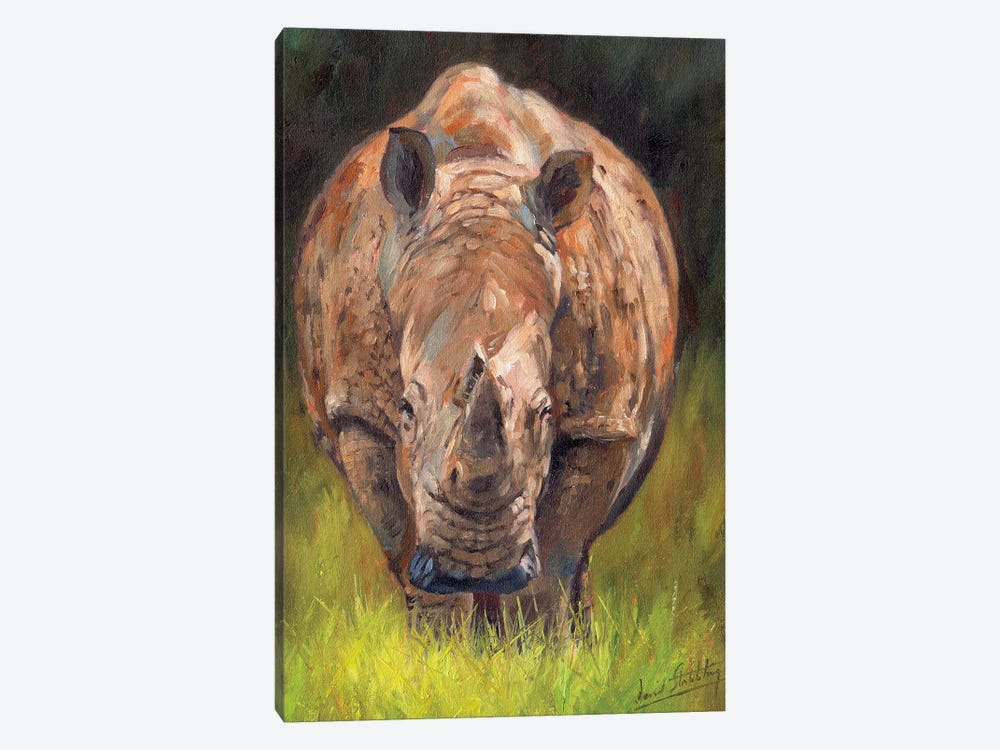 Rhino by David Stribbling 1-piece Canvas Artwork