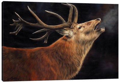 Stag Call Of The Wild Canvas Art Print - Photorealism Art