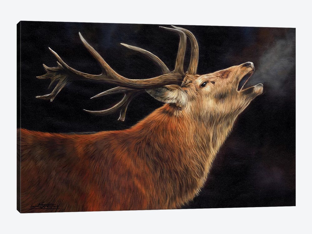 Stag Call Of The Wild by David Stribbling 1-piece Canvas Print
