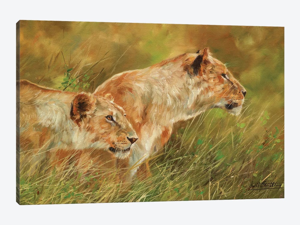 Stalking Lions by David Stribbling 1-piece Canvas Wall Art