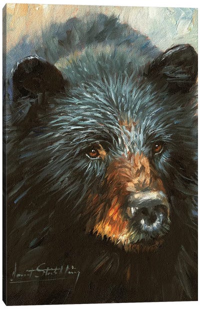 Black Bear Canvas Art Print - Man Cave Decor