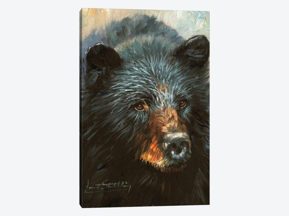 Black Bear by David Stribbling 1-piece Canvas Artwork