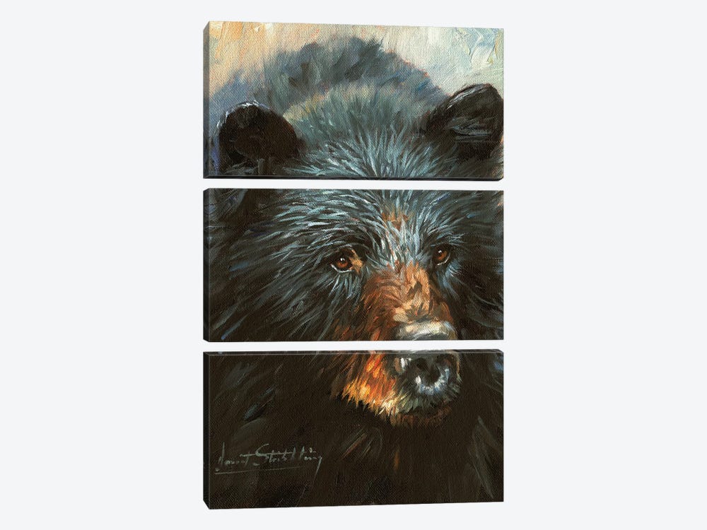 Black Bear by David Stribbling 3-piece Canvas Artwork