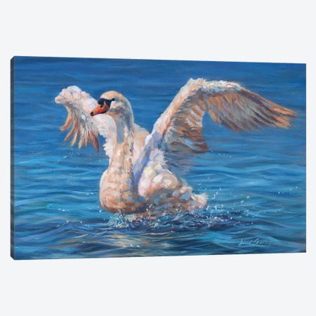 Swan Canvas Print #STG170} by David Stribbling Canvas Print