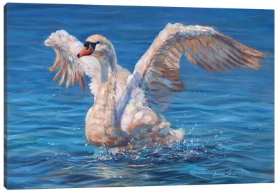 Swan Canvas Art Print - David Stribbling