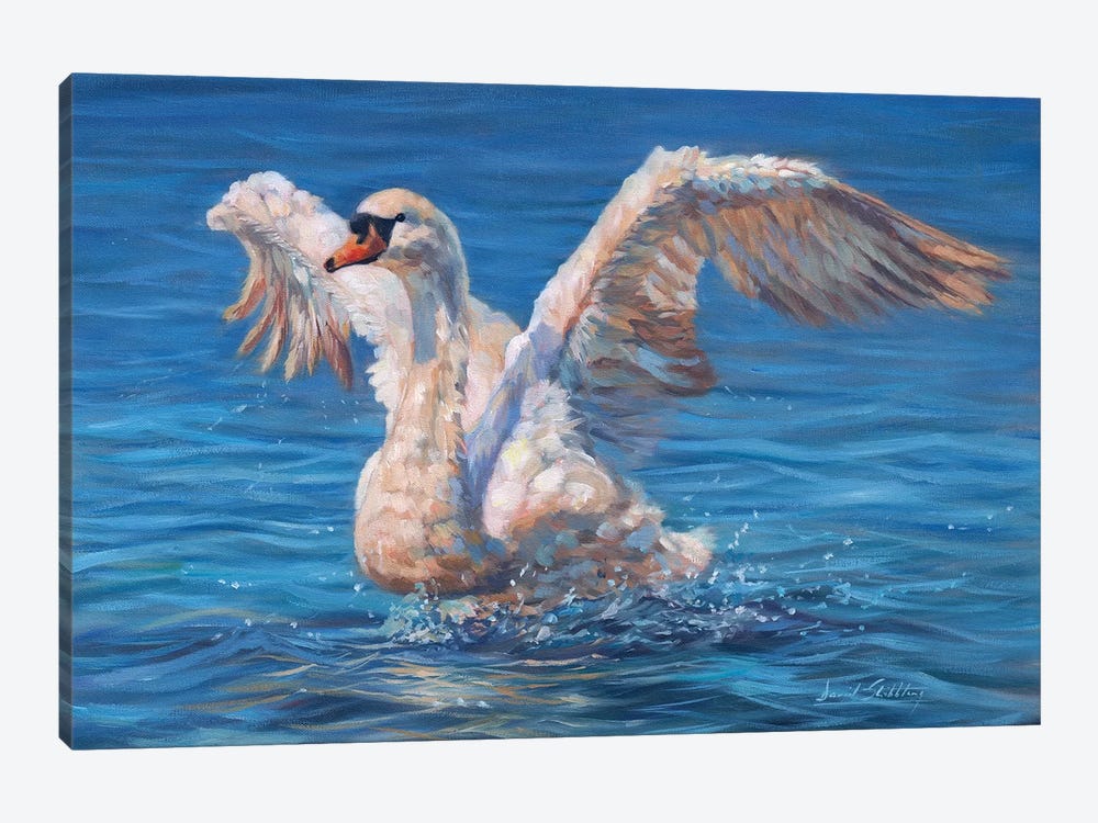 Swan by David Stribbling 1-piece Art Print