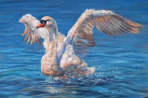 David Stribbling: Swan by David Stribbling