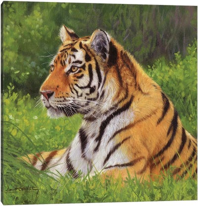 Tiger Canvas Art Print - Photorealism Art