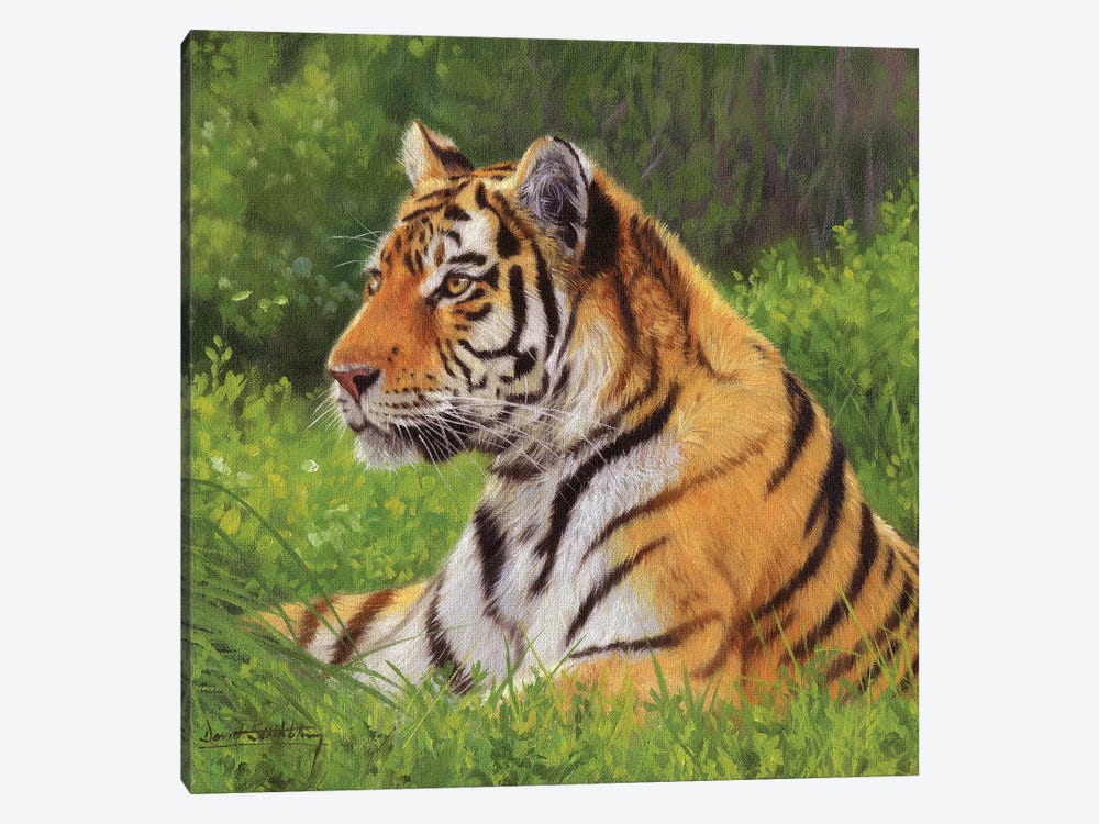 Tiger by David Stribbling 1-piece Canvas Wall Art