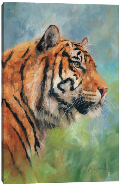 Tiger Study Canvas Art Print - Photorealism Art