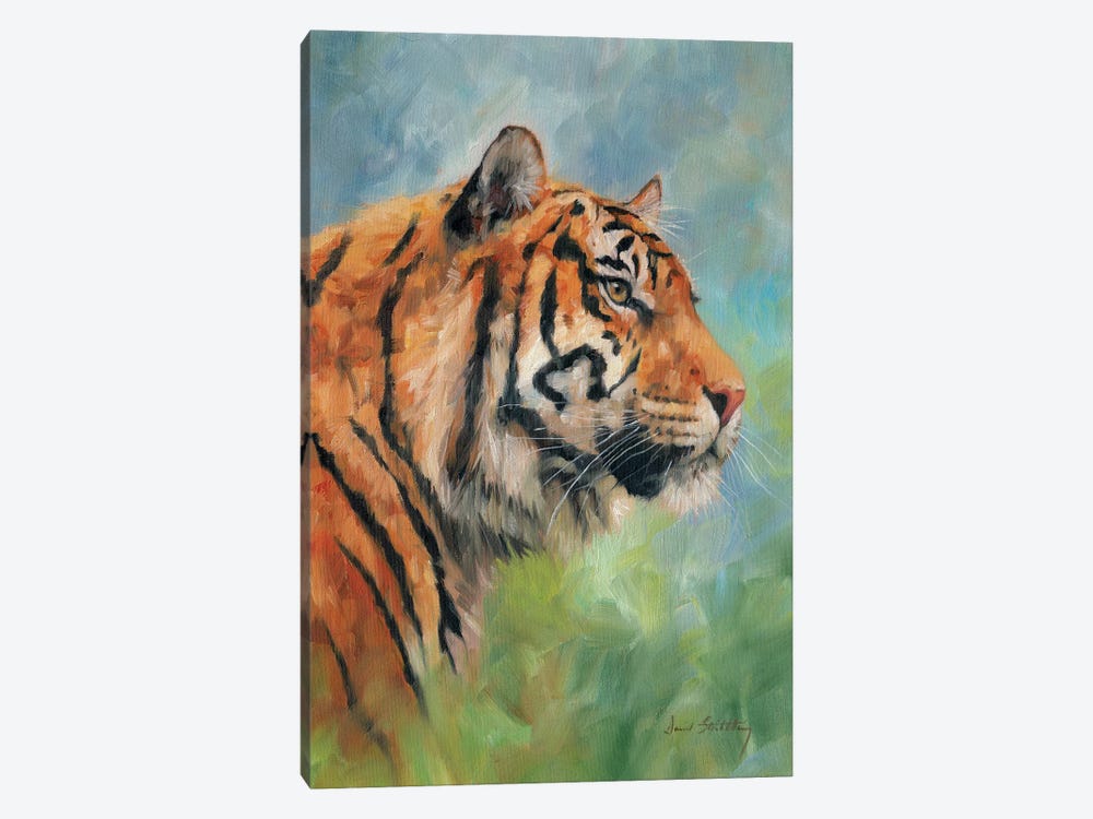Tiger Study by David Stribbling 1-piece Canvas Artwork