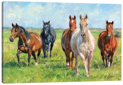 Wild Horses Canvas Art Print - Farm Animal Art