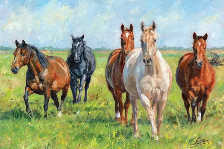 Wild Horses by David Stribbling wall art