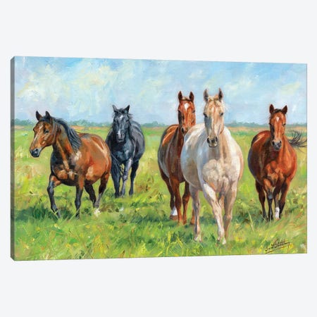 Wild Horses Canvas Print #STG177} by David Stribbling Canvas Wall Art