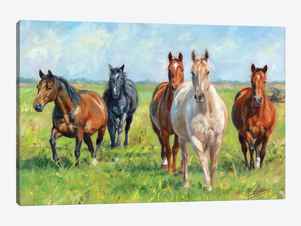 Wild Horses by David Stribbling 1-piece Canvas Art