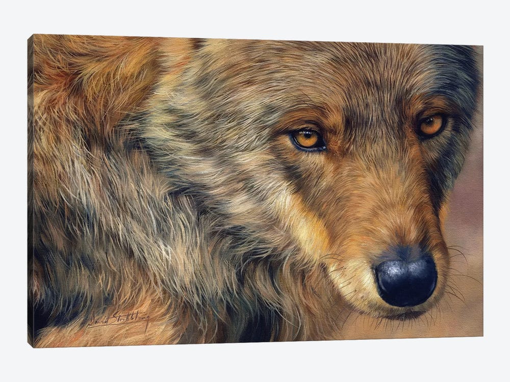 Wolf Stare by David Stribbling 1-piece Art Print
