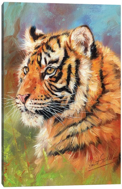 Young Amur Tiger Canvas Art Print - Photorealism Art