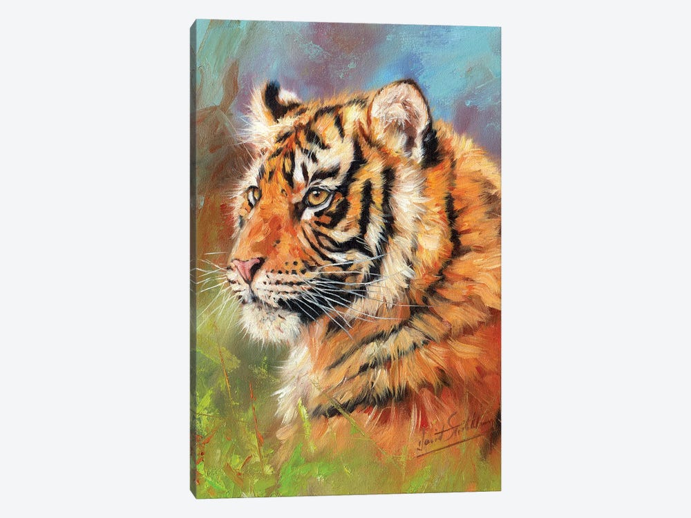 Young Amur Tiger by David Stribbling 1-piece Canvas Wall Art