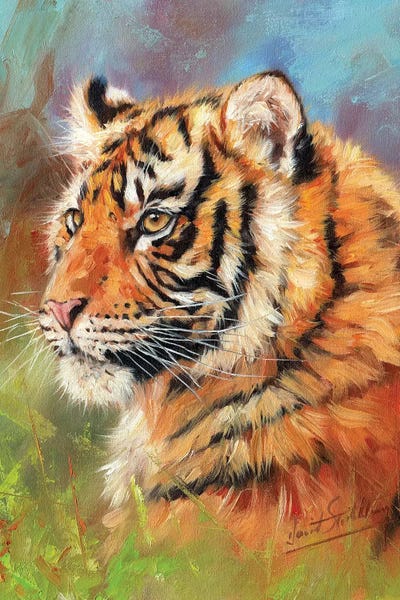 David Stribbling: Young Amur Tiger by David Stribbling