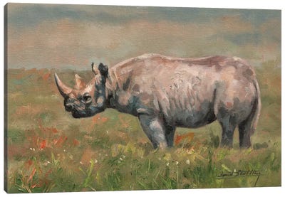 Black Rhino Canvas Art Print - David Stribbling