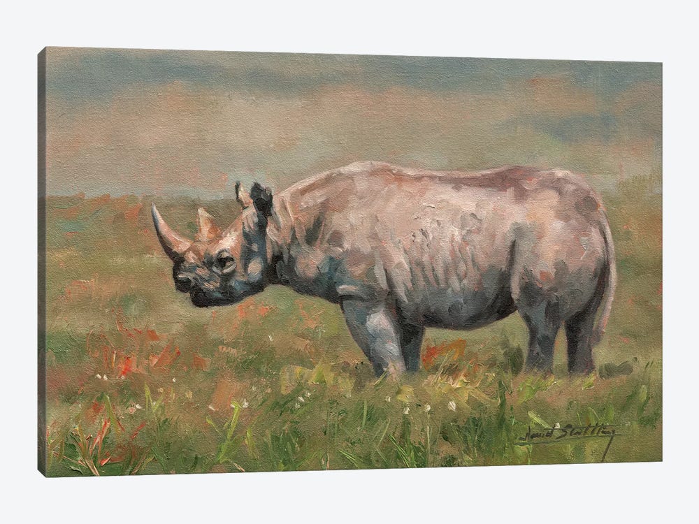 Black Rhino by David Stribbling 1-piece Canvas Print