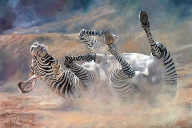 Zebra Rockin And Rollin