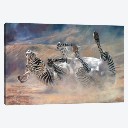 Zebra Rockin And Rollin Canvas Print #STG183} by David Stribbling Canvas Wall Art