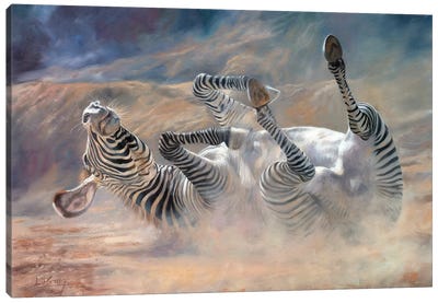 Zebra Rockin And Rollin Canvas Art Print - David Stribbling