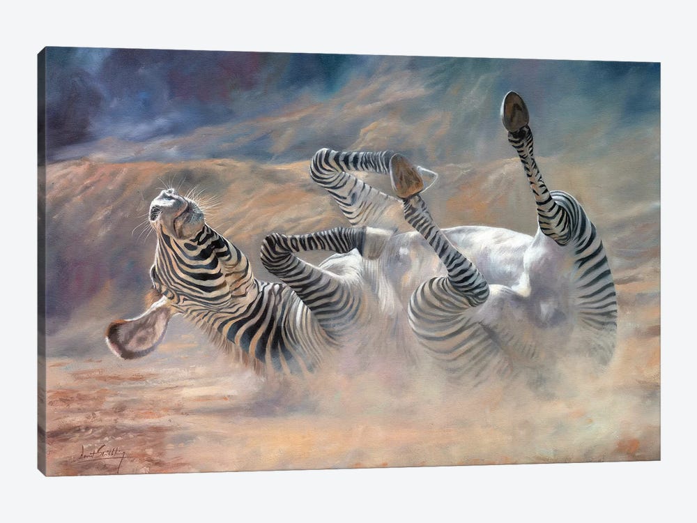 Zebra Rockin And Rollin by David Stribbling 1-piece Canvas Art Print