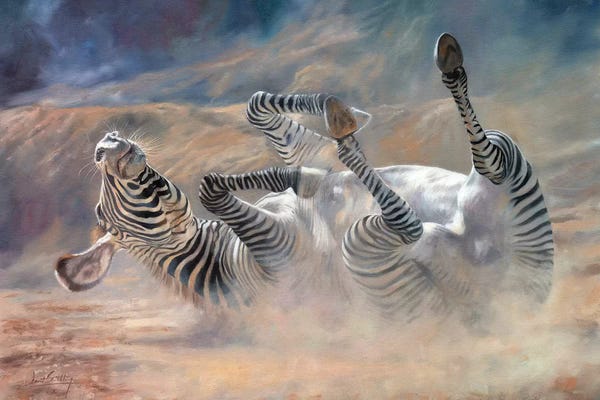 David Stribbling: Zebra Rockin And Rollin by David Stribbling