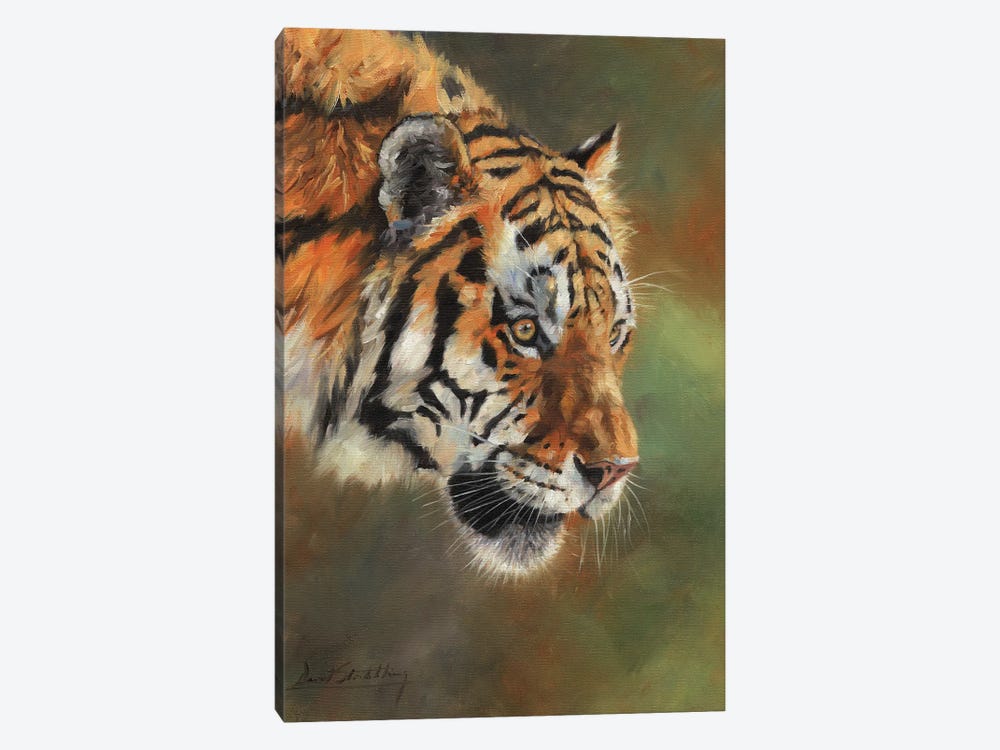 Amur Tiger Portrait II by David Stribbling 1-piece Canvas Wall Art